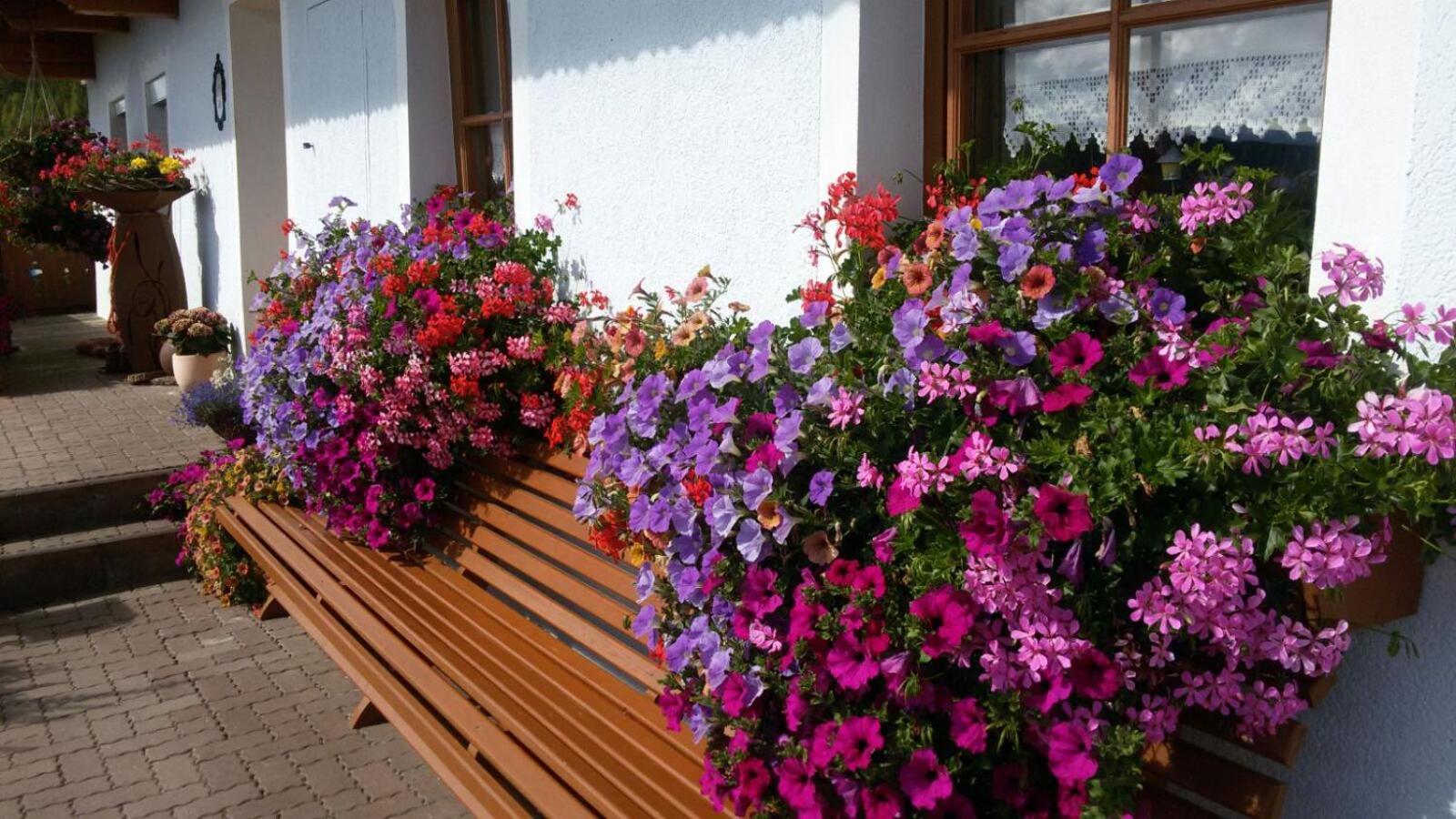 Urlaub Am Raderhof In Der Ferienregion Lungau Apartment Mauterndorf  Exterior photo